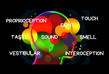 Graphical image of a head with coloured spots depecting the regions of the brain. Text reads sight, sound, touch, taste, smell, vestibular, Proprioception & Interoception which are the 8 senses.